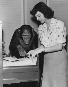 A woman and a chimp file papers