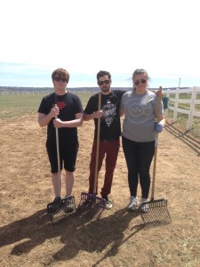 New American Gothic