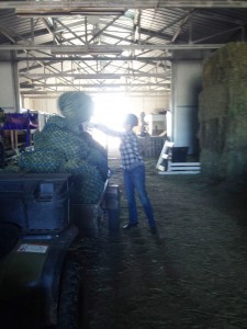 Loading hay