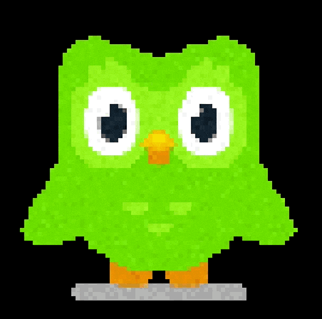 duo lingo owl